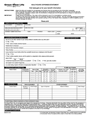 Healthcare Expenses Statement