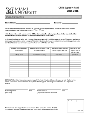 Child Support Payment Form