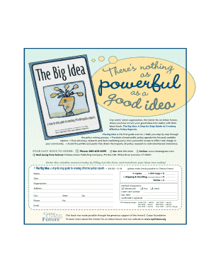 The Big Idea Policy Report Guide