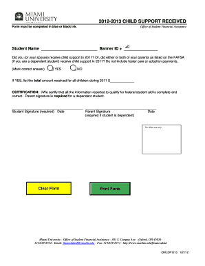 Child Support Received Form