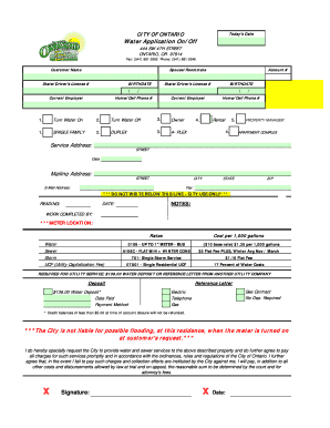 Ontario Water Service Application