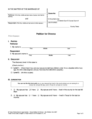 Texas Petition for Divorce No Children