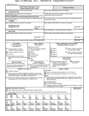 US Bankruptcy Voluntary Petition Form 1
