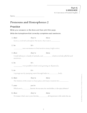 Pronouns and Homophones Worksheet