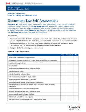 Document Use Self-Assessment