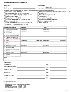 Human Resources Action Form