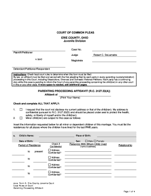 Parenting Proceeding Affidavit