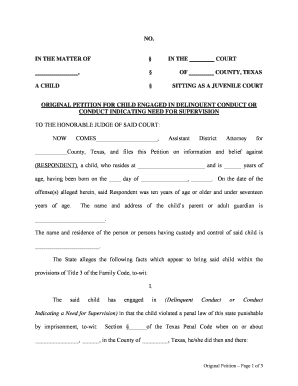 Texas Juvenile Delinquency Petition