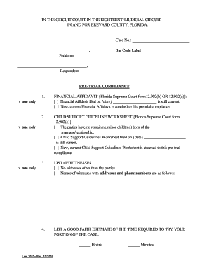 financial affidavit form florida printable templates to fill out form 12 902 b