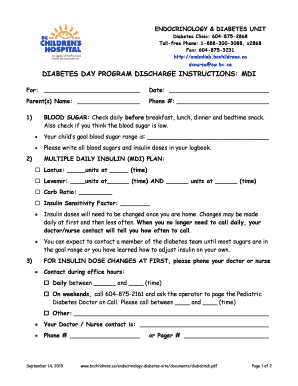 Diabetes Day Program Discharge Instructions