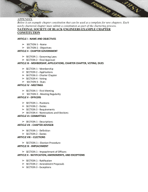 NSBE Jr. Chapter Constitution Template