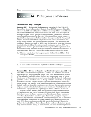 Biology Chapter 16 Study Workbook