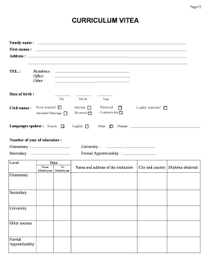 Curriculum Vitae Template