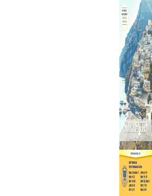 Sorrento Travel Program Application