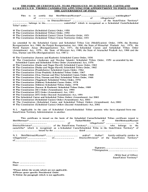 Scheduled Caste Tribe Certificate Form