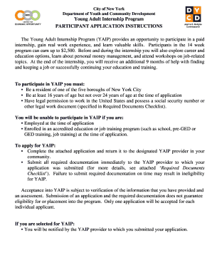 Young Adult Internship Program Application