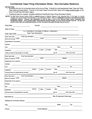 Confidential Case Filing Information Sheet