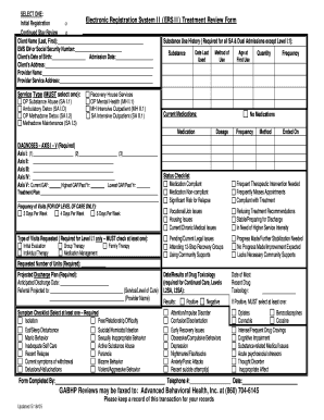 Electronic Registration System II Treatment Review Form