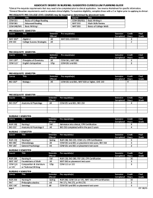 Associate Degree in Nursing Curriculum Guide