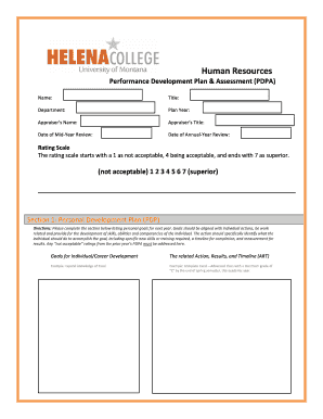 Performance Development Plan & Assessment Form