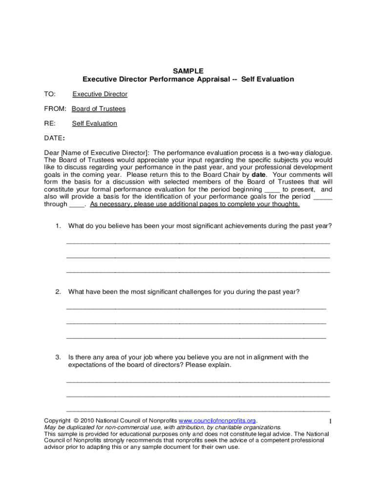 ceo self evaluation template Preview on Page 1