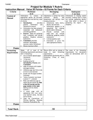 Module 1 Rubric Instruction Manual