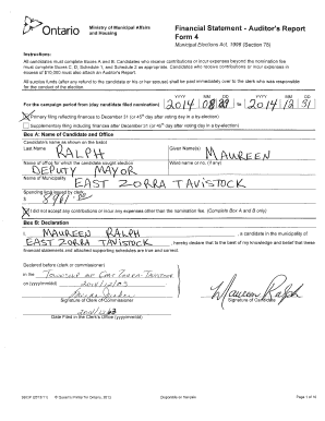 Ontario Municipal Election Financial Statement