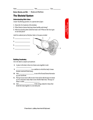 Bones Muscles and Skin Worksheet