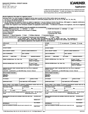Credit Union Loan Application