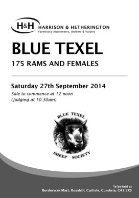 Blue Texel Sheep Sale Catalog