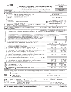 Form 990 2013