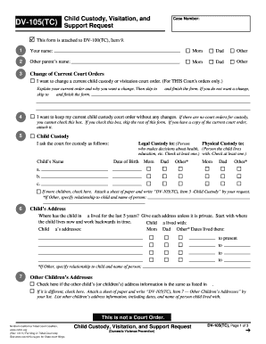 Child Custody and Visitation Request Form