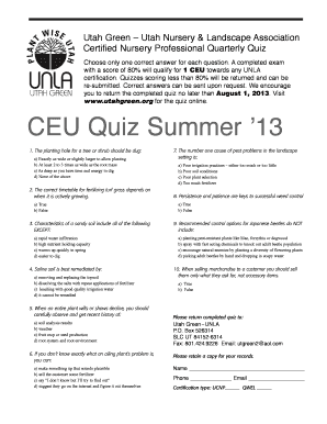 Form preview