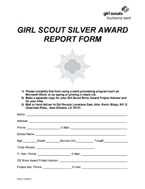 Girl Scout Silver Award Report Form