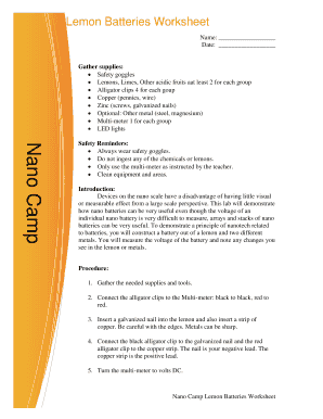 Nano Camp Lemon Batteries Worksheet