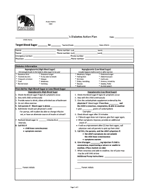 Diabetes Action Plan for Child