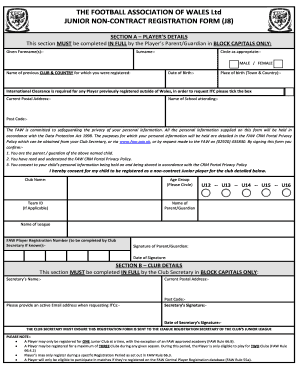 THE FOOTBALL ASSOCIATION OF WALES Ltd JUNIOR NON-CONTRACT
