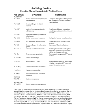 Audit Working Papers Template