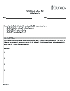 TEAM Administrator Evaluation Model Individual Action Plan