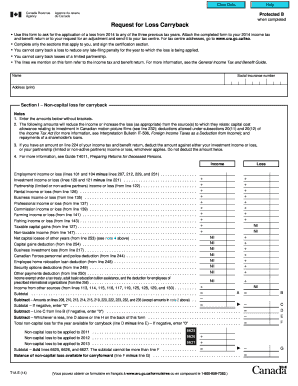 Request for Loss Carryback Form