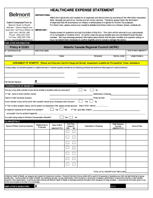 Healthcare Expense Statement