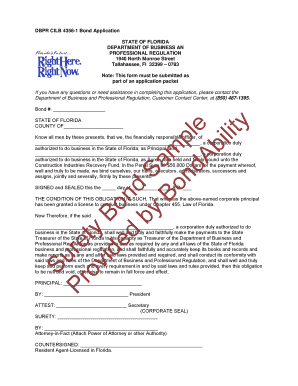 Florida Bond Application Form 4356-1
