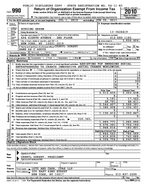 IRS Form 990 2010