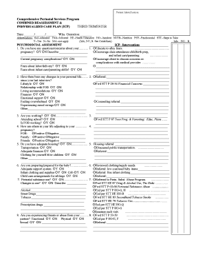 Third Trimester Perinatal Care Plan
