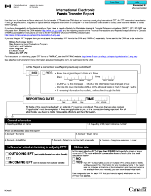 International Electronic Funds Transfer Report