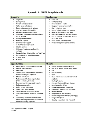 Child tika card - Appendix A SWOT Analysis Matrix - wclt