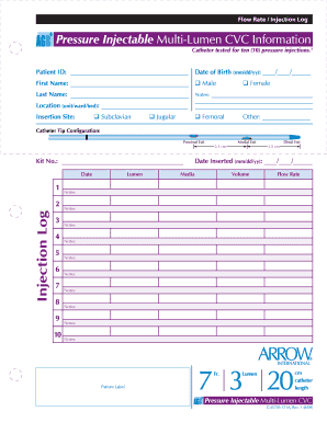 Medical Catheter Injection Log