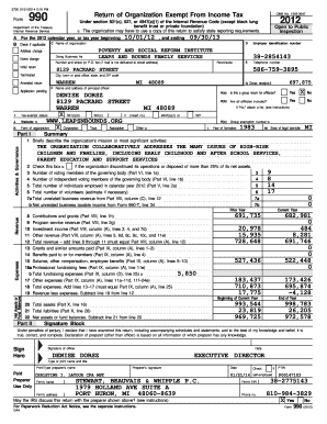 Form 990 Tax Exempt Organization Return