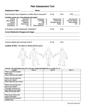 Pain Assessment Tool