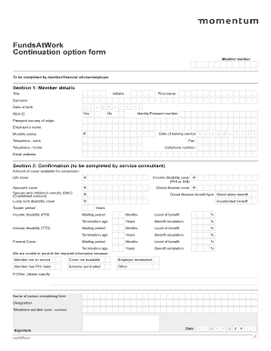 Momentum Continuation Option Form